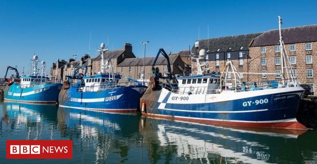 Environment Brexit: Fisheries Bill to enshrine sustainability in law
