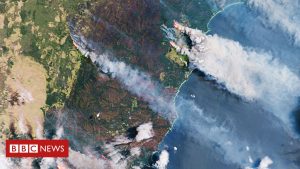 Environment Bushfires: Australian satellite would be ‘tuned’ to eucalypt vegetation