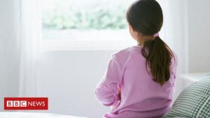 Technology Domestic abuse: Ministers urged to strengthen revived law to protect children