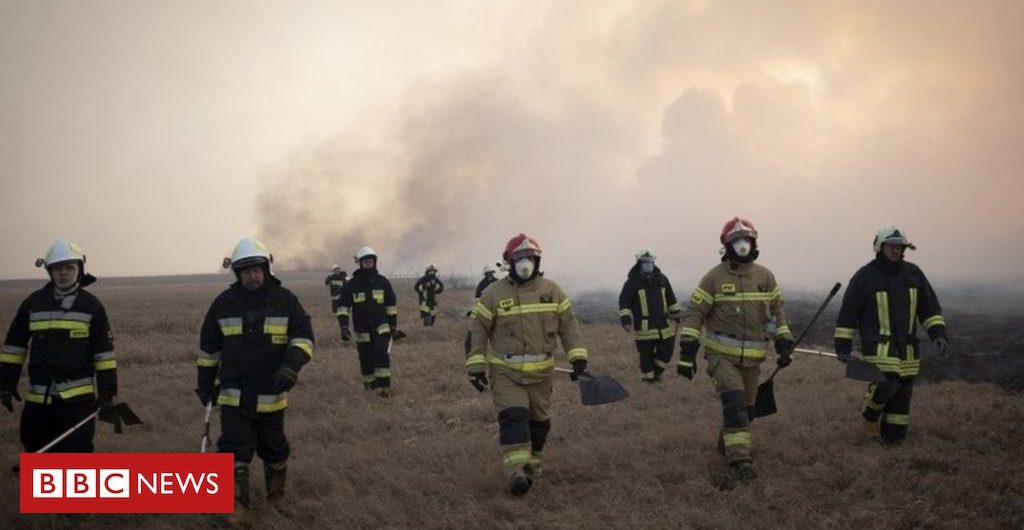 Environment Wildfires rip through Poland’s biggest national park