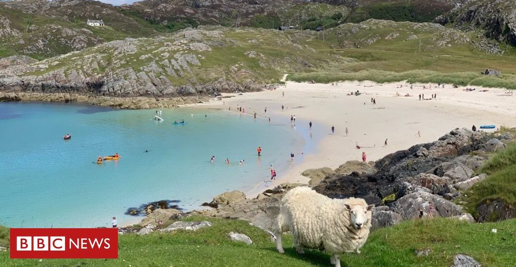 In_pictures Your pictures: Scotland’s staycation summer